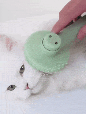 a person is holding a green and white brush in their hand