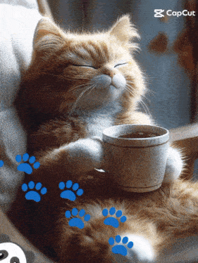 a cat is sitting on a chair holding a cup of coffee with a caption that says capcut
