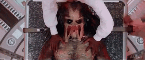 Predator Predator Scathing GIF - Predator Predator Scathing GIFs