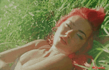 a woman with red hair is laying in the grass with #charley in red