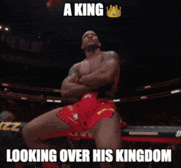 a king looking over his kingdom meme with a fighter in red shorts