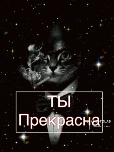 a cat wearing a top hat and bow tie smoking
