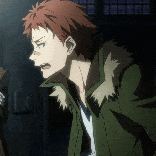 a man with red hair is wearing a green jacket with a fur collar