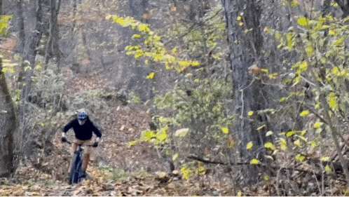 a person is riding a bike through a forest