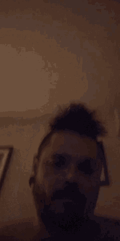 a man with a beard and a mohawk looks at the camera