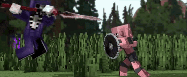 a purple skeleton is holding a sword and shield while a pink skeleton is holding a shield .