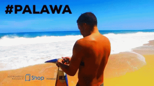 Palawa Swim Fins GIF - Palawa Swim Fins Beach GIFs