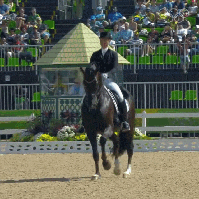 Riding Horse Steffen Peters GIF