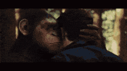 a man and a monkey are looking at each other in a dark room