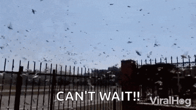 a large flock of birds flying over a fence with the words `` can 't wait '' written in the foreground .