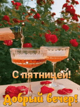 a greeting card with two glasses of champagne and roses says good evening in russian