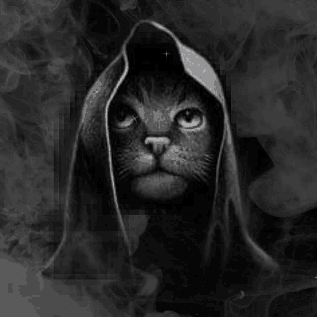Black Cat Wizard Cat GIF - Black Cat Wizard Cat Witch Cat GIFs