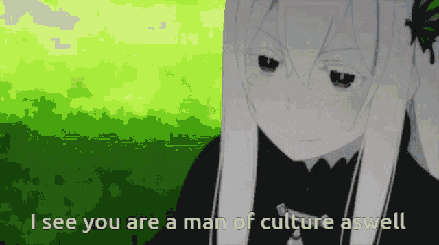 a girl with long white hair is standing in front of a green background and saying `` i see you are a man of culture aswell ''
