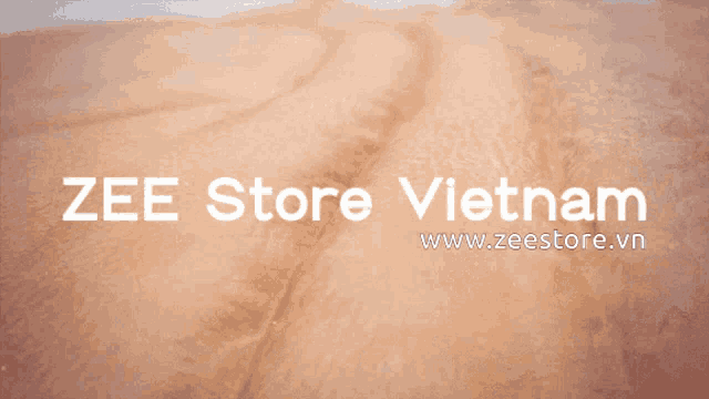 a website for zee store vietnam is displayed