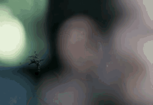 a blurred image of a person 's face with a spider on it
