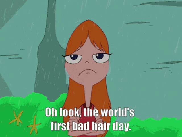 a cartoon of perry the platypus says " oh look the world 's first bad hair day .. "