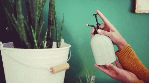 Watering Cinemapgraphy GIF - Watering Cinemapgraphy Cinemagraph GIFs