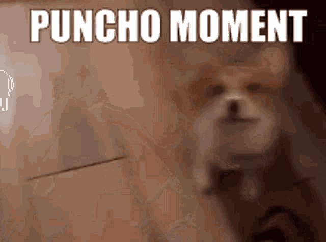 Puncho Puncho M Oment GIF - Puncho Puncho M Oment I Love This Dog GIFs