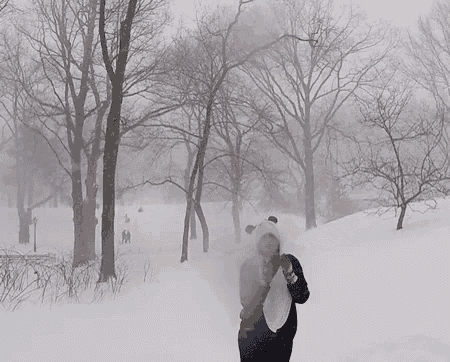 a person in a panda costume is standing in a snowy forest