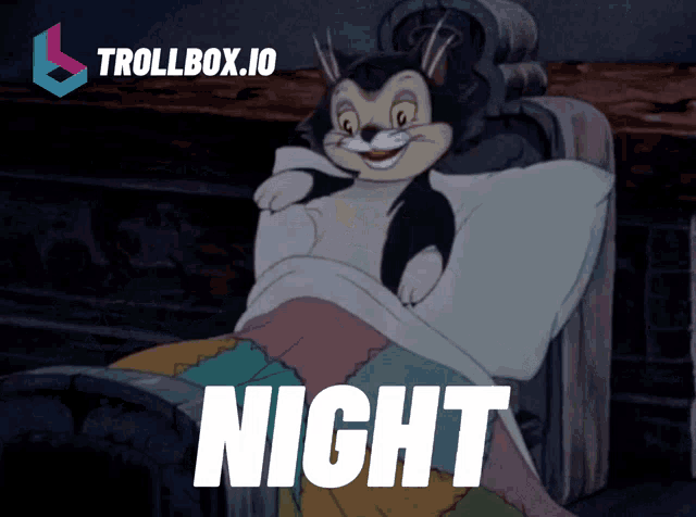 a cartoon cat is laying in a bed with the words night written below it