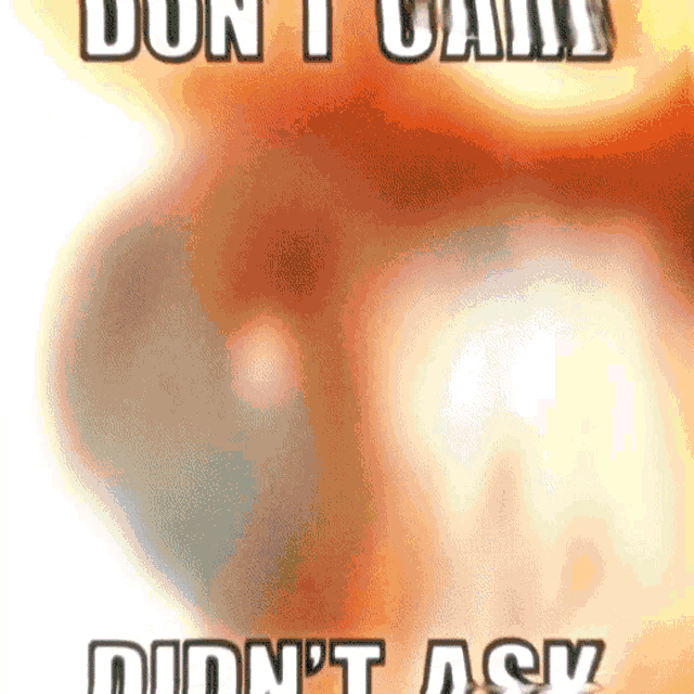 a meme that says " don t call did n't ask " with a blurry background
