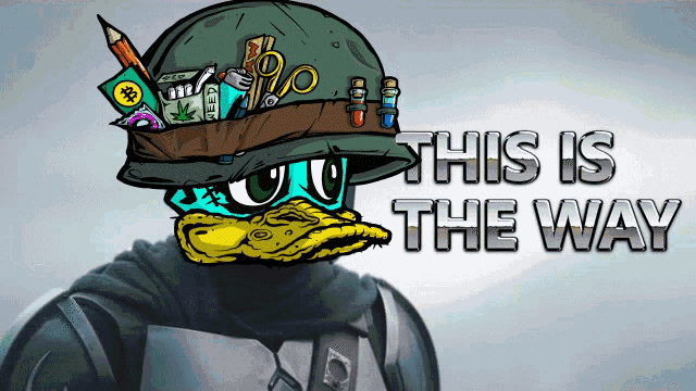 a cartoon of a duck wearing a helmet with the words this is the way above it