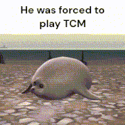 a seal laying on the ground with the words he was forced to play tcm