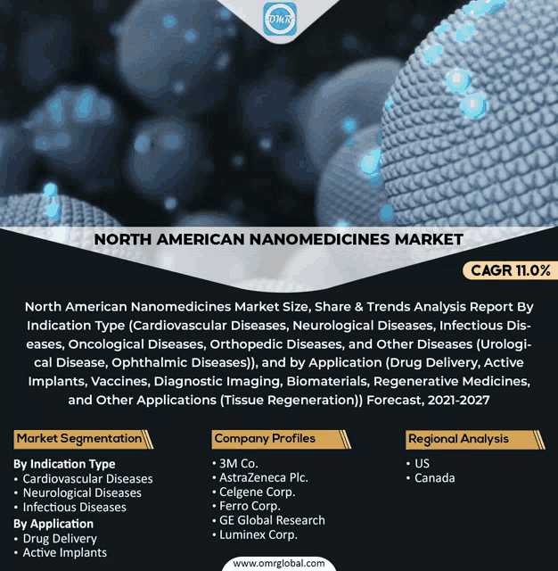 north american nanomedicines market size share & trends analysis report by indication type cardiovascular diseases neurological diseases infectious diseases and other diseases
