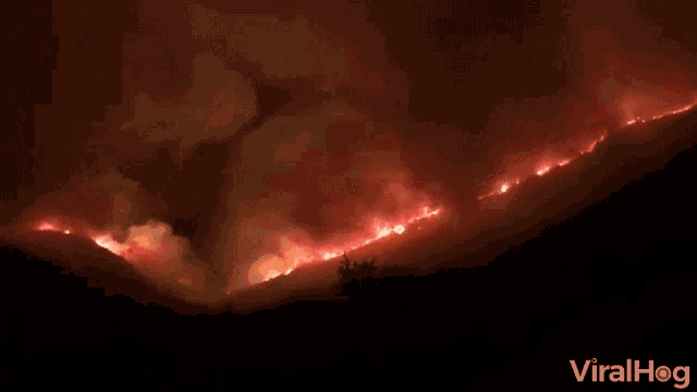 Hills On Fire Forest Fire GIF - Hills On Fire Forest Fire Nature Disaster GIFs