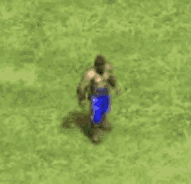 a man in blue shorts is standing in the grass in a video game .
