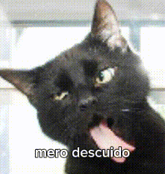 a black cat with its tongue hanging out and the words " mero descuido " below it