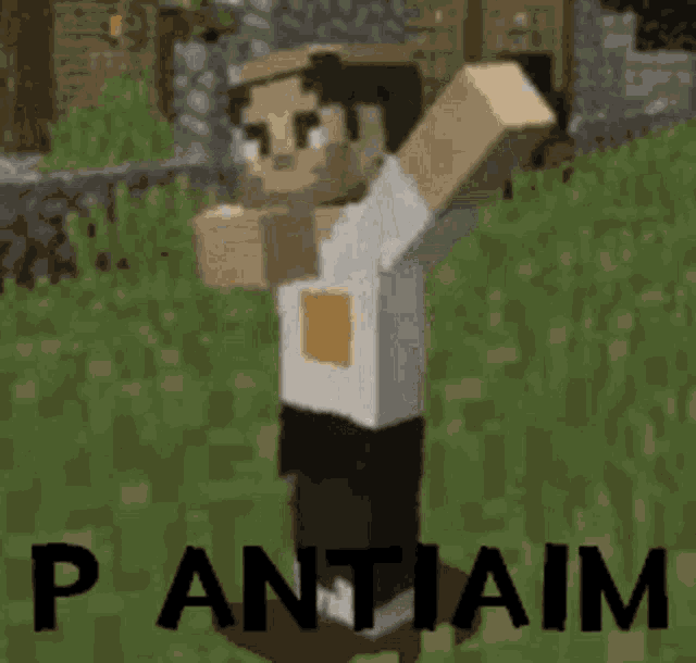 a minecraft character is standing in the grass with the word panti aim written on the bottom .