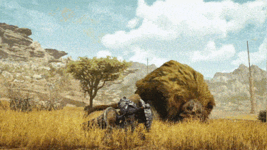 a large animal is standing in a field of tall grass