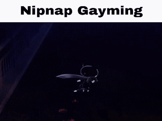 Nipnap GIF - Nipnap GIFs