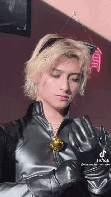Cat Noir Dannyphantomexe GIF