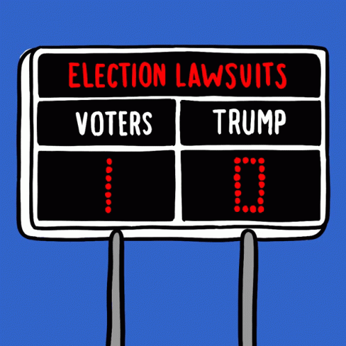 Election Lawsuits Voter Lawsuit GIF - Election Lawsuits Voter Lawsuit Voters GIFs