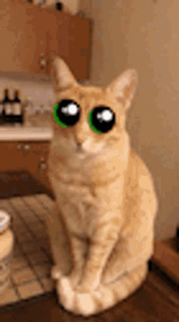 a cat with green eyes is sitting on a table