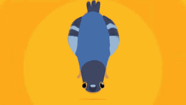 a blue pigeon is standing on a yellow background and looking at the camera