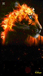 a picture of a tiger with fire coming out of it 's mouth