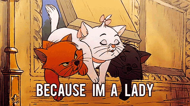 a cartoon of three cats with because im a lady written below them