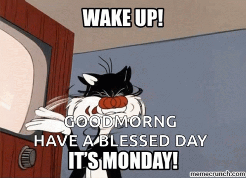 Its Monday Wake Up GIF - Its Monday Wake Up Sylvester GIFs