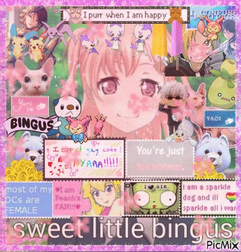 a collage of pictures with the words sweet little bingus