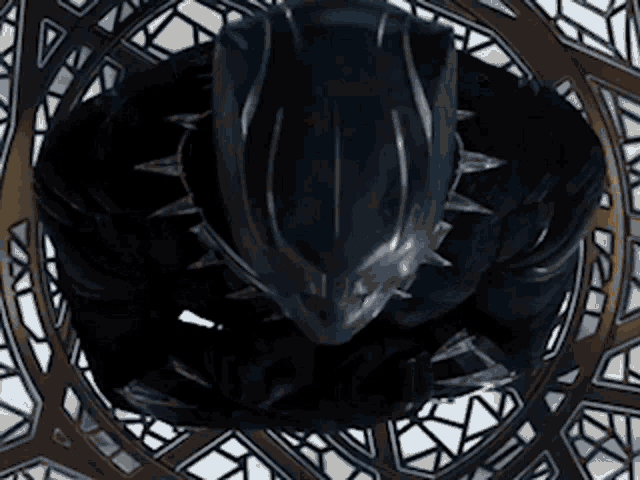 Blackpanther GIF - Blackpanther GIFs