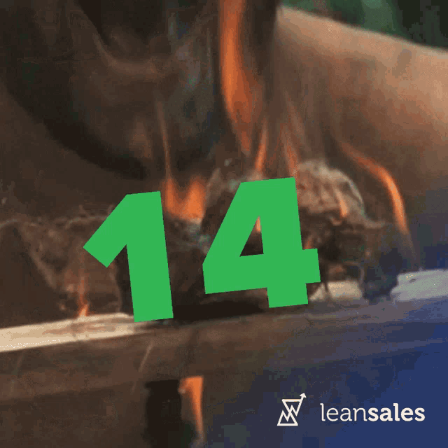 the number 14 is displayed on a blue background