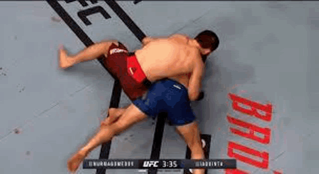 a couple of men are wrestling in a ring .