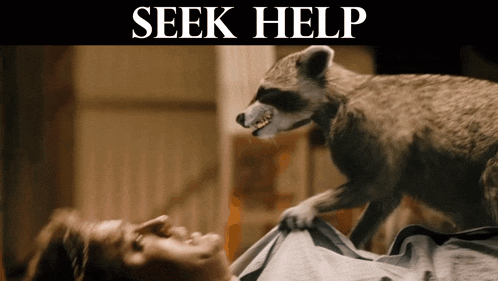 a raccoon is looking at a man laying on a bed under a seek help sign