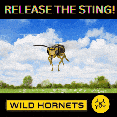 an advertisement for wild hornets shows a wasp flying in the air