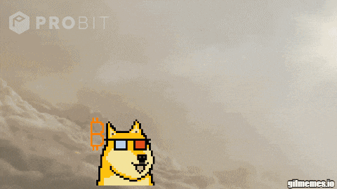 an animated image of a rocket being launched with the words " probit " in the background