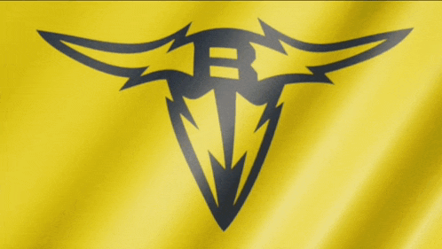 a yellow flag with a black emblem on it