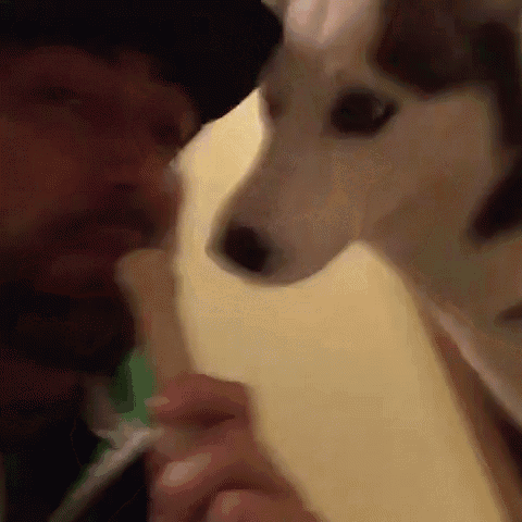 a man is brushing his teeth while a dog looks on .